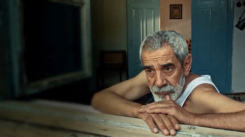 Vicdan Ağacı Bild 1