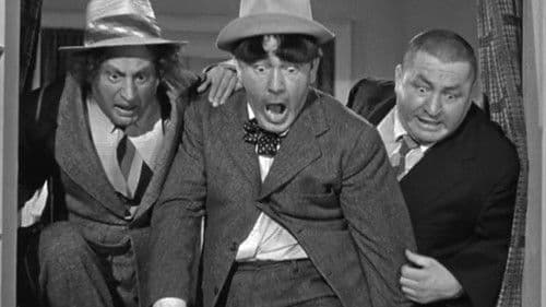 What's the Matador? Bild 1