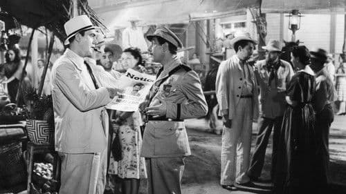 Tropische Zone Bild 8