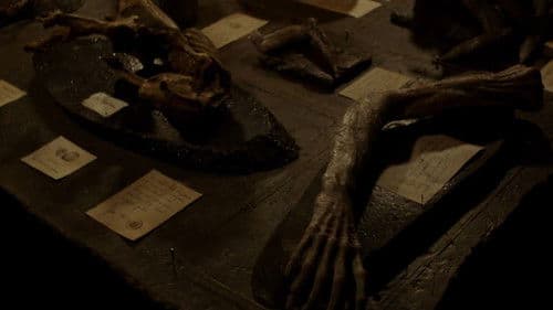 Alien: Covenant - Epilogue: Advent Bild 3