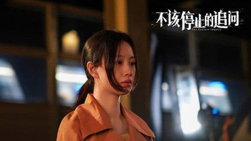 不该停止的追问 Bild 1