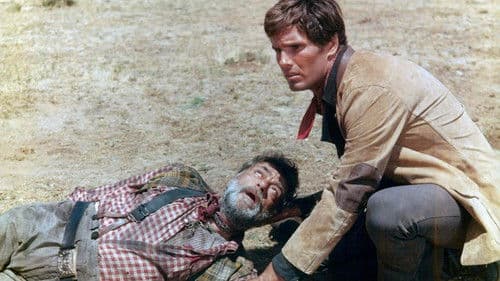 Tampeko – Ein Dollar hat zwei Seiten Bild 4