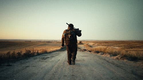 Welcome to Kittytown Bild 1