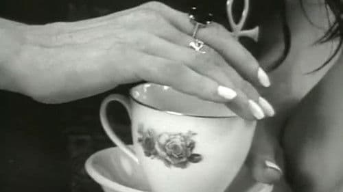 The Elegant Spanking Bild 3