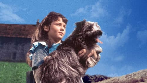 Greyfriars Bobby Bild 4