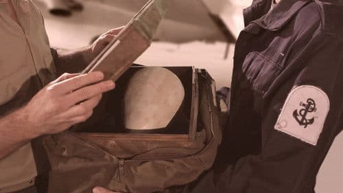 David's Dinosaur Bild 5