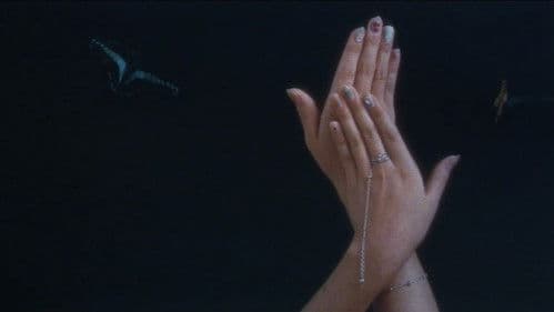 白い肌の狩人　蝶の骨 Bild 1