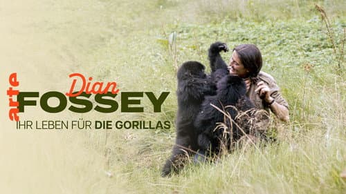 Dian Fossey: Ihr Leben für die Gorillas Bild 5