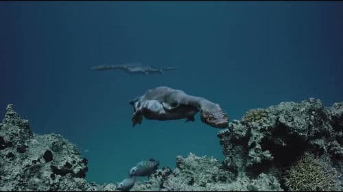 Sea Rex 3D: Reise in die Zeit der Dinosaurier Bild 4