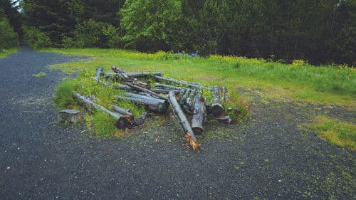 Between The Living & The Dead, The Lovers Reside Bild 4