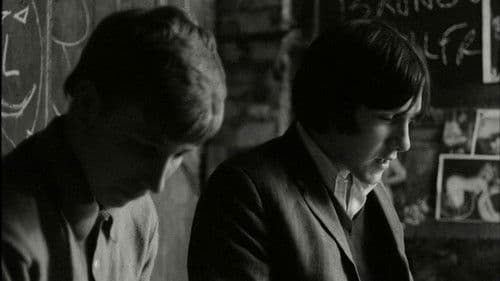 Bronco Bullfrog Bild 1