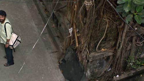 ভিঞ্চি দা Bild 3