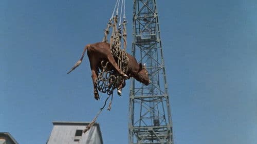 Der Amphibienmensch Bild 6