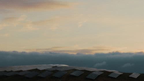 Sonnenkönigin Bild 1