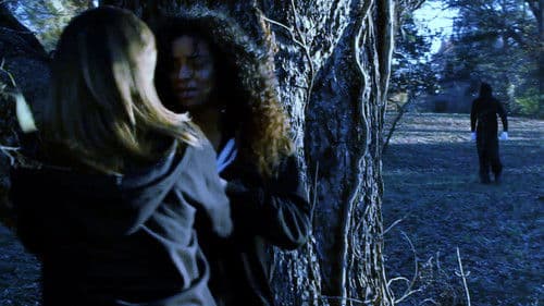 Moma's Spirit Bild 2