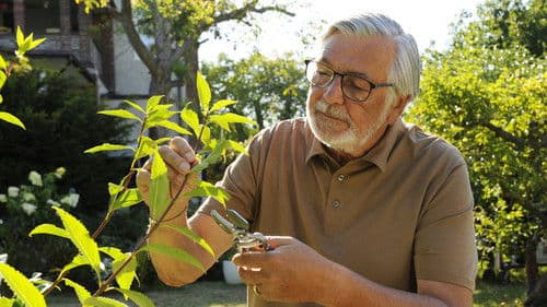 Zbožňovaný Bild 1