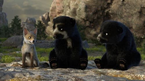 Milagros: Una osa extraordinaria Bild 3