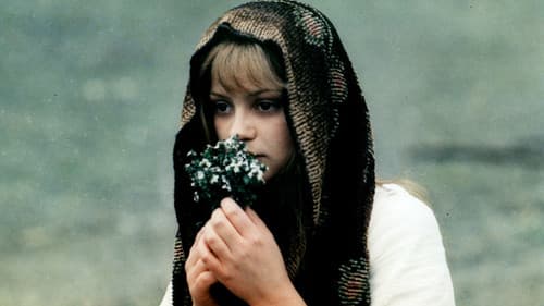 Balada pro banditu Bild 2