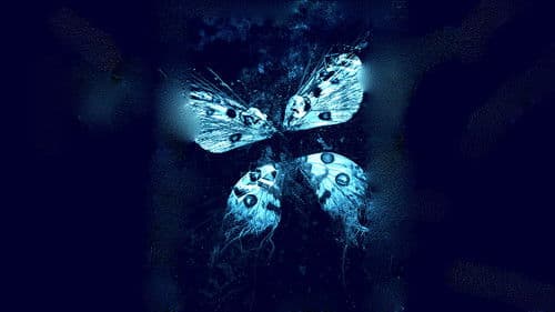 Butterfly Effect 3 - Die Offenbarung Bild 2