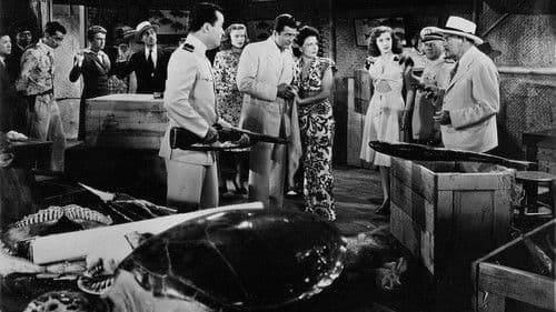 Gefährliches Geld Bild 3