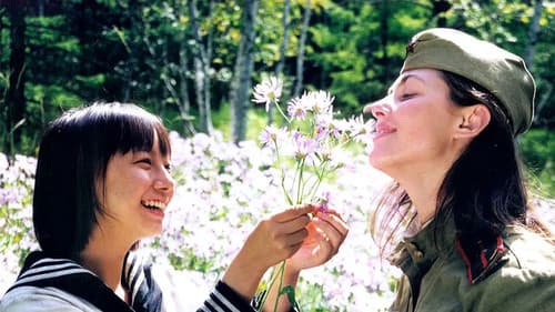 Purple Sunset Bild 1