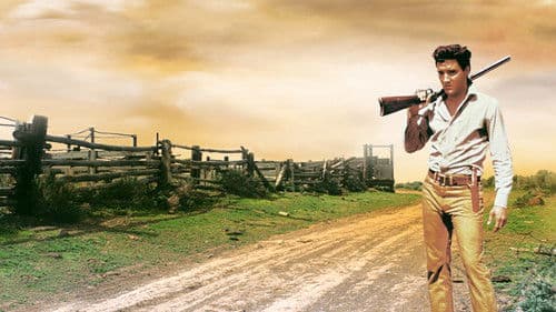 Flammender Stern Bild 2