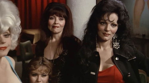 Bellas De Noche Bild 4