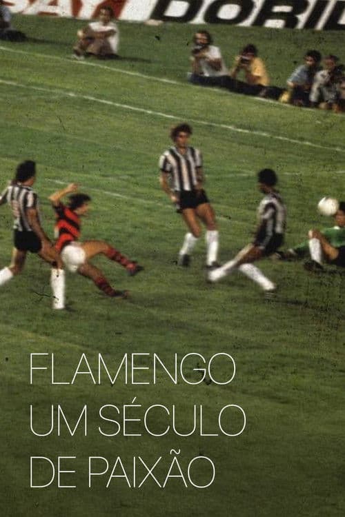 Flamengo: Um Século de Paixão