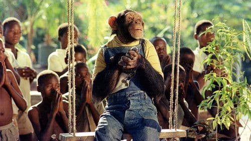 Africa Express Bild 5