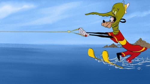 Der Freizeitkapitän Bild 6