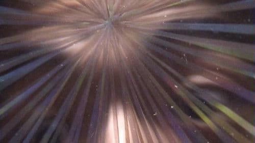 うたぐるい Bild 3