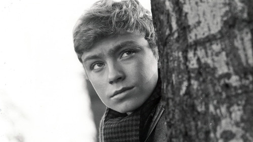 Es war einmal ein Krieg Bild 3