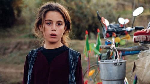 Schildkröten können fliegen Bild 6