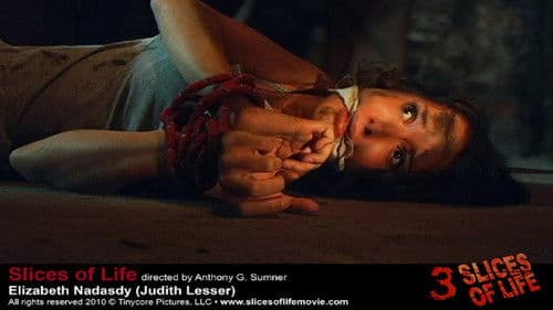 Slices of Life Bild 7