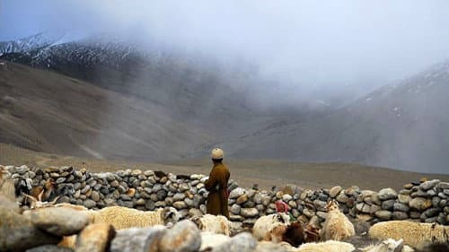 La Nuit Nomade Bild 2