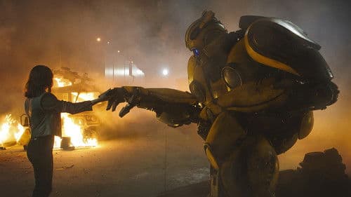 Bumblebee Bild 5