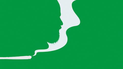 High Maintenance Bild 3