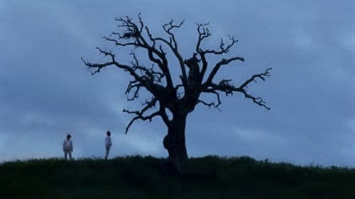 Bella e perduta Bild 4