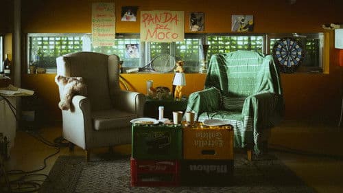 Panda del Moco Bild 1