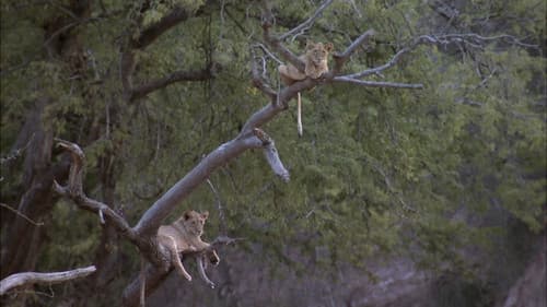 Predator's Playground Bild 4