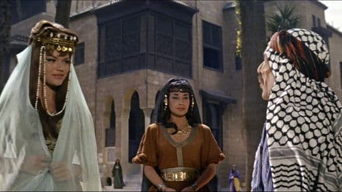 Der Sohn des Scheichs Bild 8