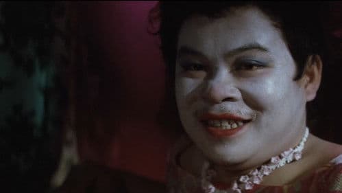 吹けば飛ぶよな男だが Bild 8