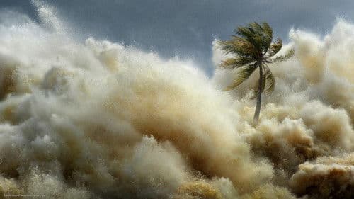Tsunami: Wettlauf gegen die Zeit Bild 6