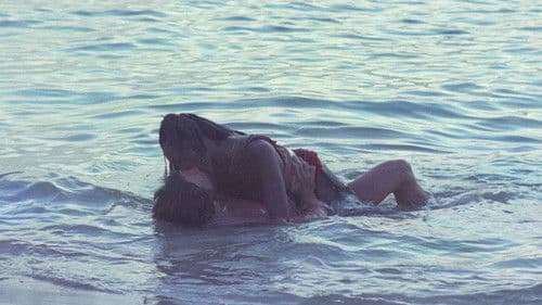 Sechs Schwedinnen auf Ibiza Bild 5