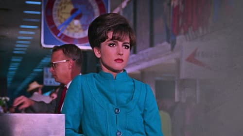 Como perros y gatos Bild 1