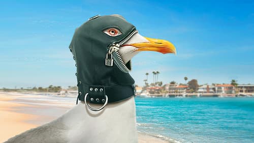 The Guest Book Bild 2