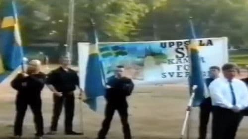 Sverigedemokraterna Bild 1