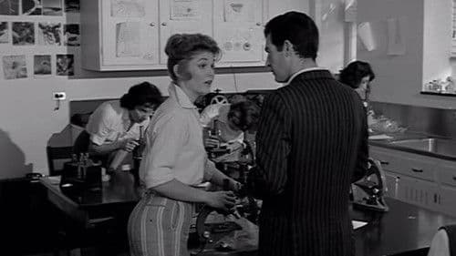 Violent Midnight Bild 4