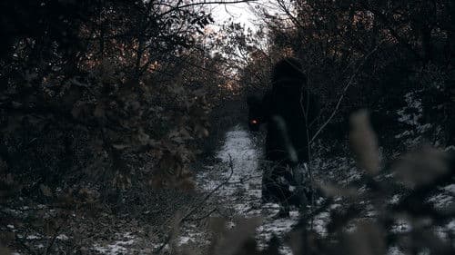 Тихо в снега Bild 1