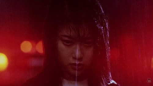 夜がまた来る Bild 1